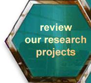 Review our 25 year history of research in communicating with digital media and genres.